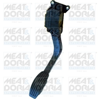 Accelerator Pedal Unit